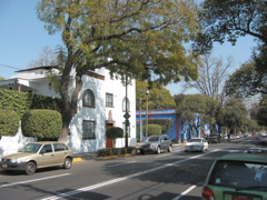 Coyoacán - 02