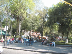 Coyoacán - 11