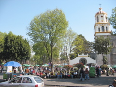 Coyoacán - 13