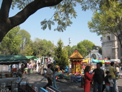 Coyoacán - 14