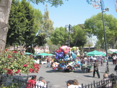 Coyoacán - 15