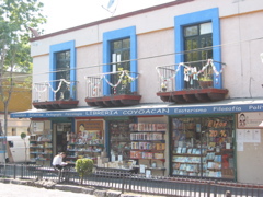 Coyoacán - 17
