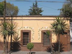 Coyoacán - 21