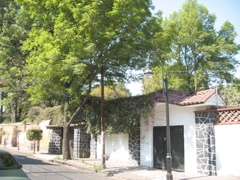Coyoacán - 23