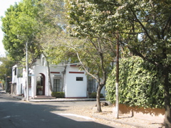 Coyoacán - 24
