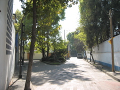 Coyoacán - 25
