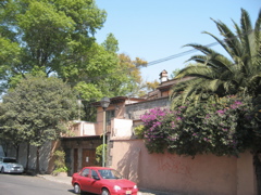 Coyoacán - 26