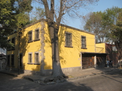Coyoacán - 30