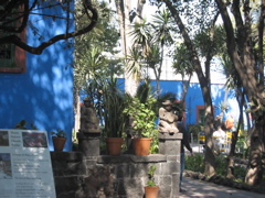 Coyoacán - 06